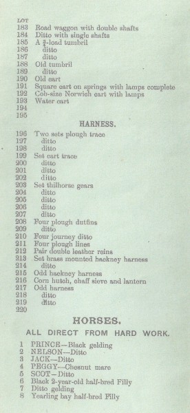 Sale Catalogue of White House Farm5